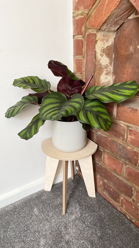 Trelo Plant Stool