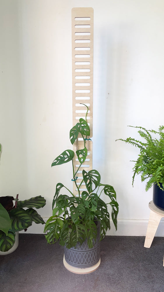 Trelo Extendable