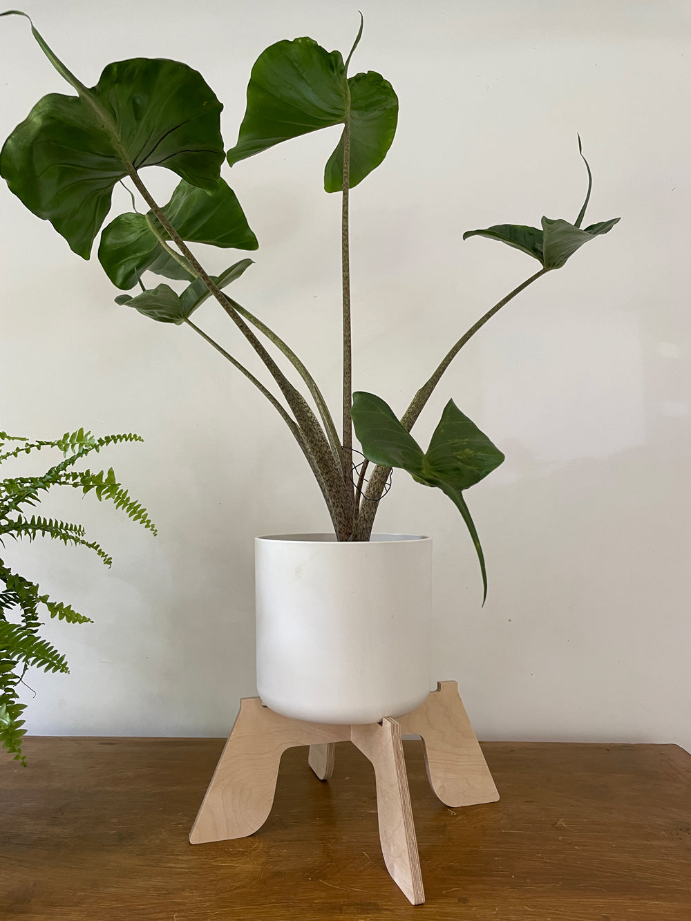 Trelo Plant Stand