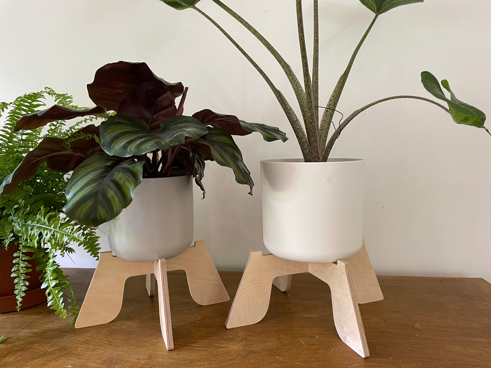 Trelo Plant Stand