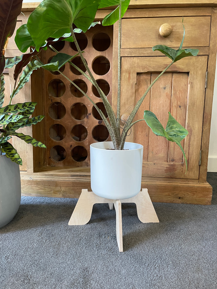 Trelo Plant Stand