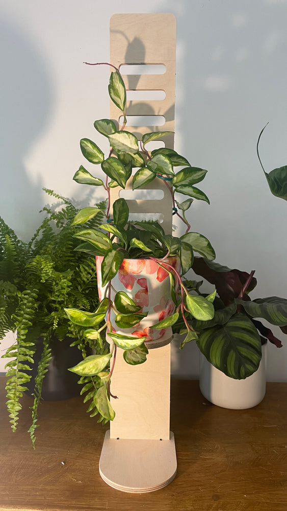 Trelo Shelf