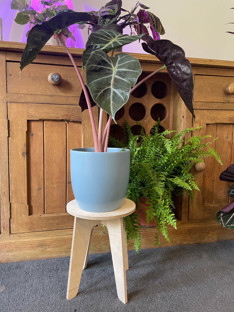 Trelo Plant Stool