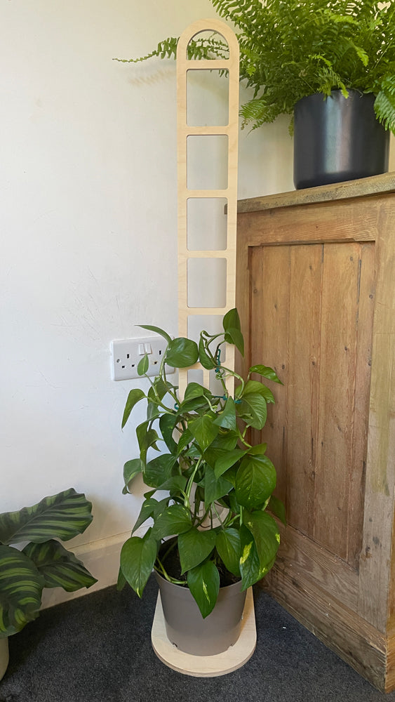 Trelo Trellis - Large
