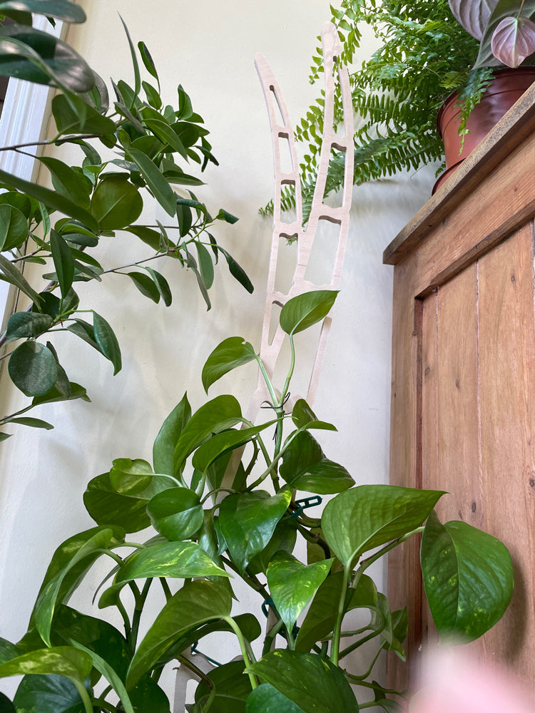 Trelo Trellis - Large