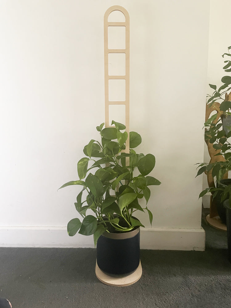 Trelo Trellis - Large