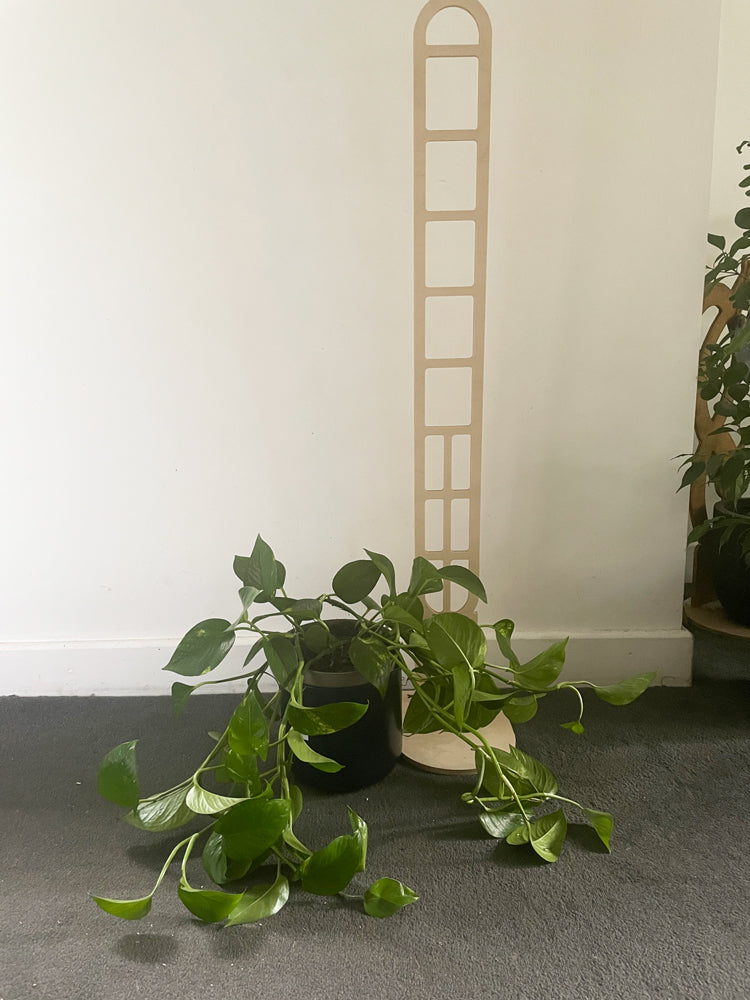 Trelo Trellis - Large