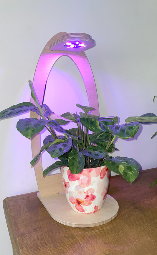 Trelo Light Stand