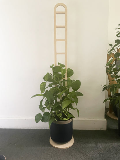 Trelo Trellis - Large